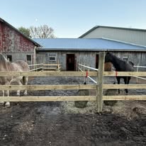 Private paddocks at Waterhorse Farm